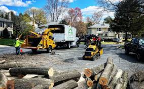 Best Aeration Services  in China Lake Acres, CA