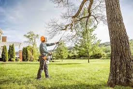 Best Soil Testing and Treatment  in China Lake Acres, CA